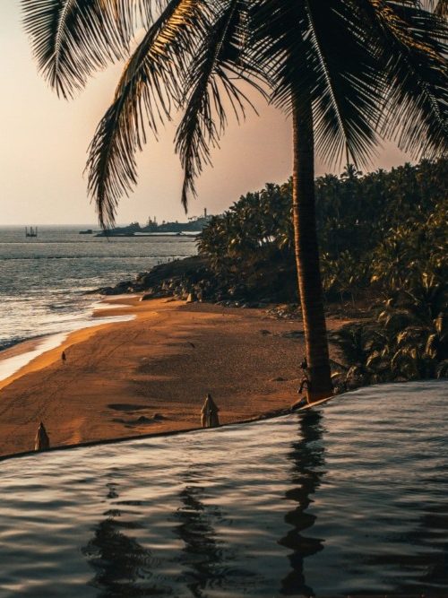 Palmera al lado de una playa